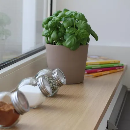 Apartment Mk